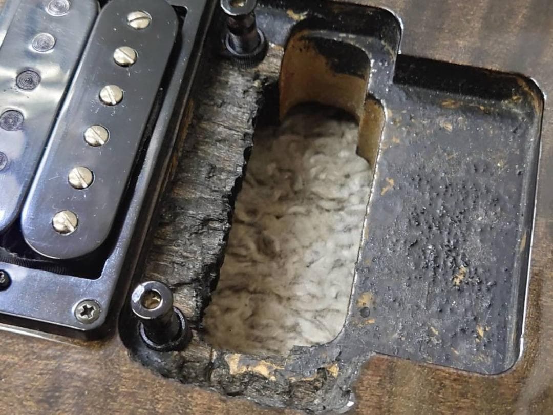 DEAN CUSTOM 350 FloydRose Trans Black 現状