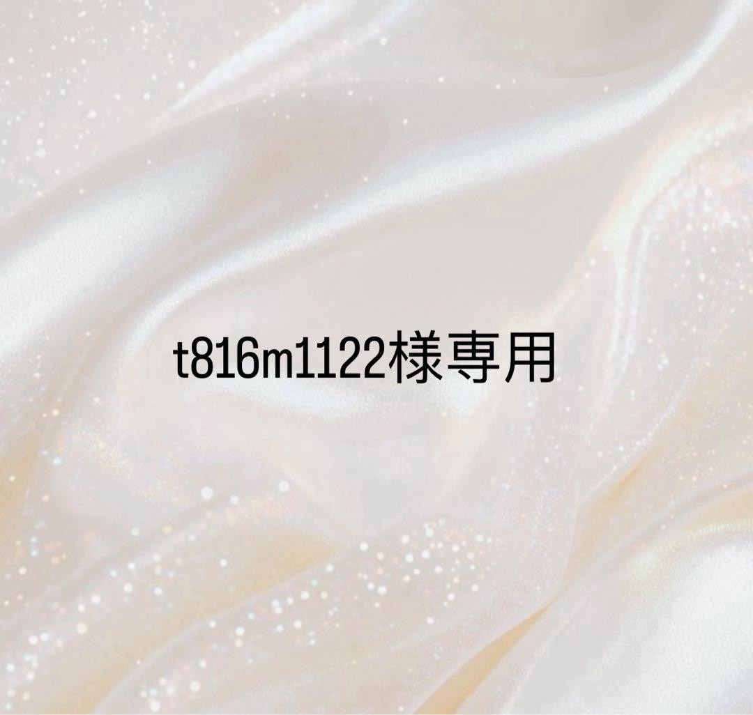 LouisVuitton Tシャツ 半袖 新品 タグ付き Mサイズ ルイヴィトン