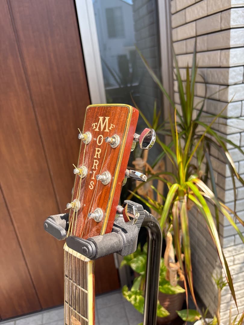 Morris W-60 トップ単板　サイド、パックはハカランダ