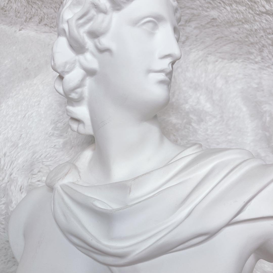 石膏像 アポロン ￼￼￼￼￼アポロ 胸像 デッサン 美術 彫刻 オブジェ