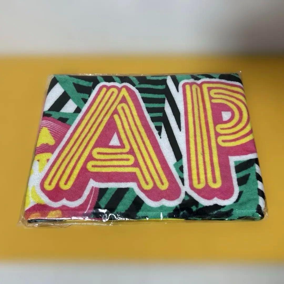 AAAグッズ 17点まとめ売り 「パンフ、ファイル、タオル、Tシャツ、他」