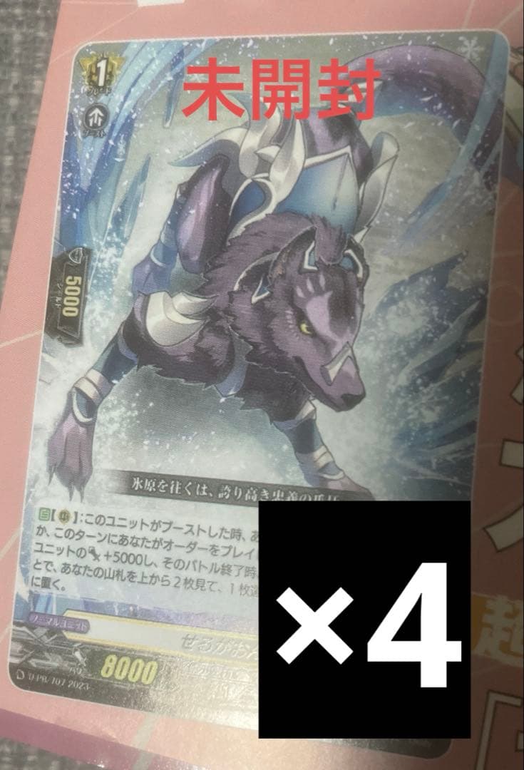 新品未開封 せるがおん　4枚