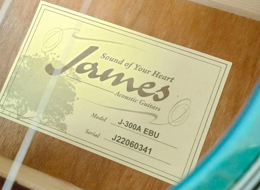 James ジェームス J-300A アコースティックギター ソフトケース付き