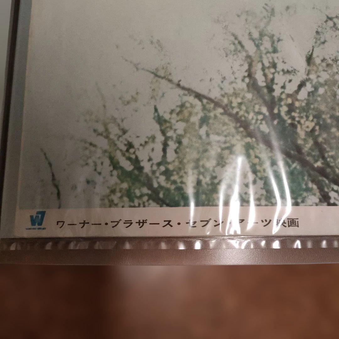 愛すれど心さびしく　日本版B2ポスター