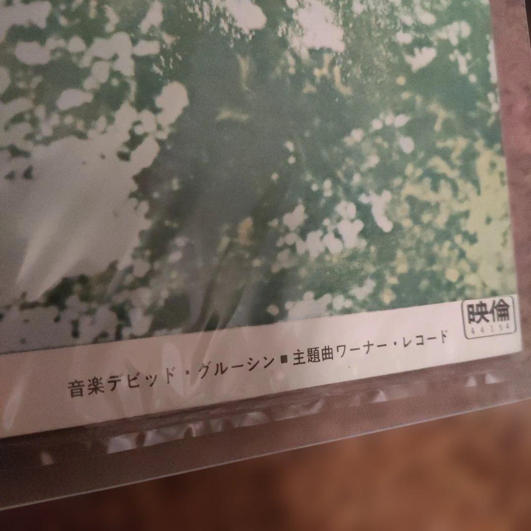 愛すれど心さびしく　日本版B2ポスター