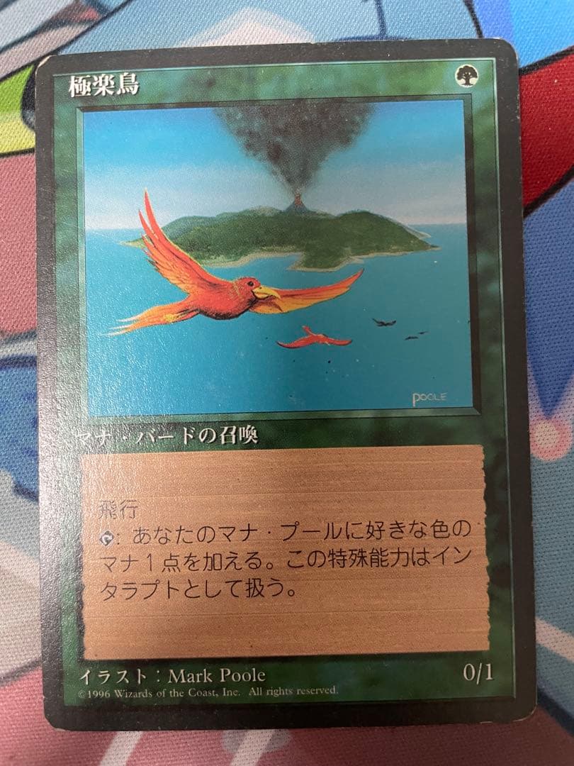 MTG 極楽鳥 4ED 日本語FBB
