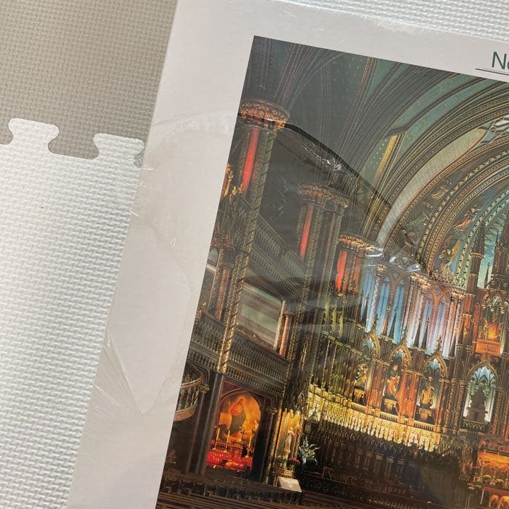 ジグソーパズル5146P＊ノートルダム大聖堂カナダ