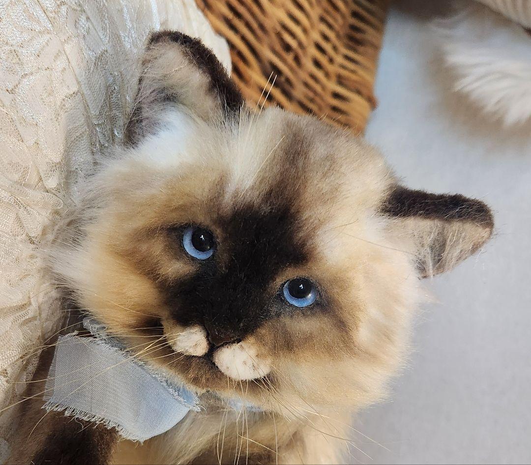 猫 海外作家 リアル アートドール ブライス テディベア