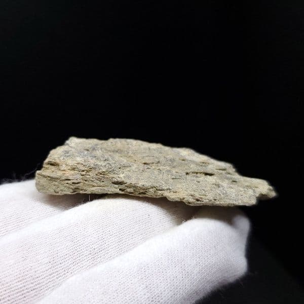 ティラノサウルス 化石 骨 本物 アメリカ産 54.80mm tb87