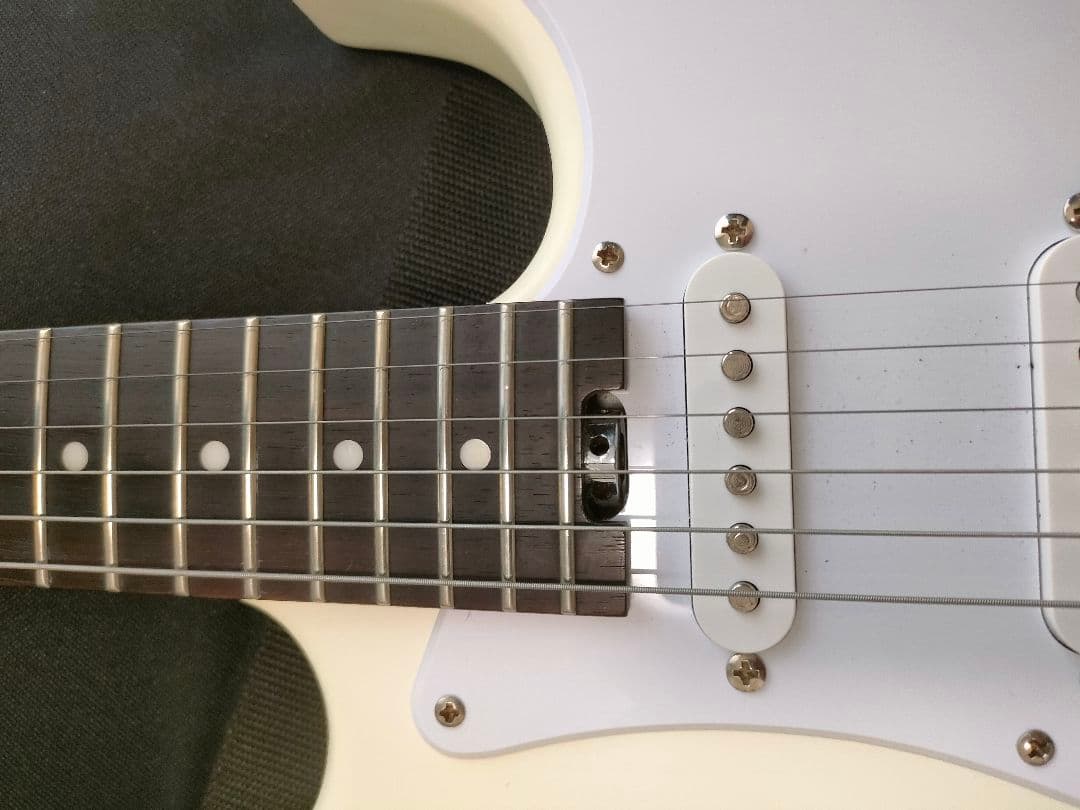 Bacchus SGS-ASH RSM　フレット90%以上 グローバルシリーズ