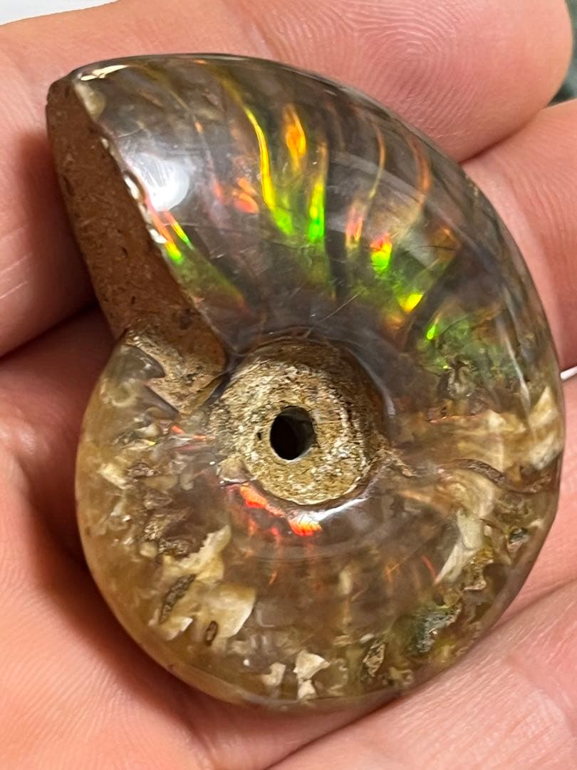 カナダ・アルバータ州産オパール化アンモナイト　ファイヤーアンモナイト約30.6g