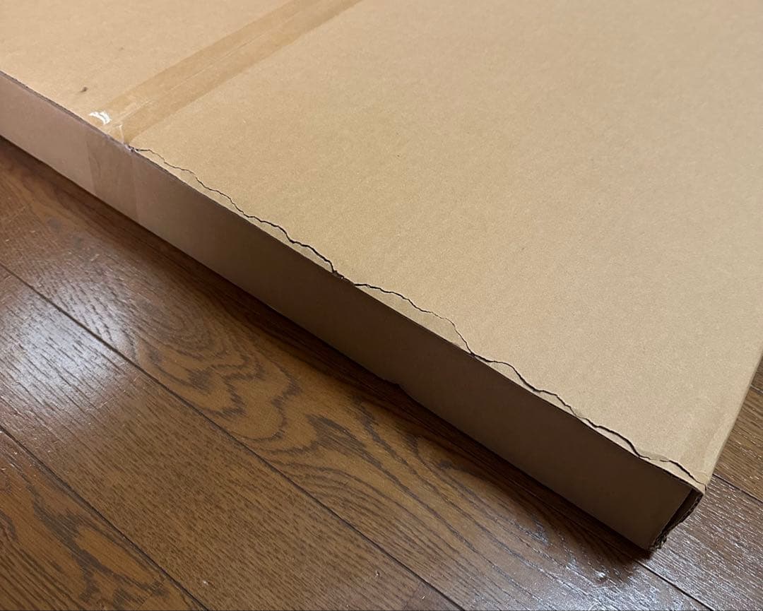 家庭教師ヒットマンREBORN 額装高精細デジタルカラー　天野明展