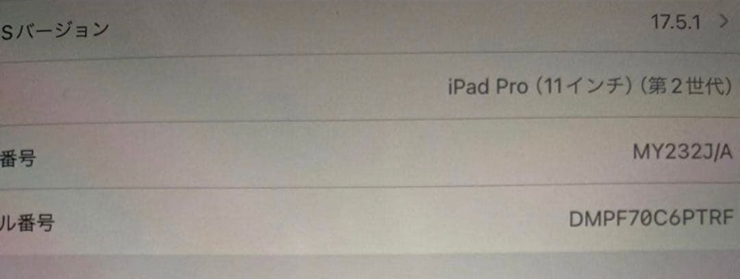 【即購入対応】iPad Pro 11インチ　第2世代 128G 本体