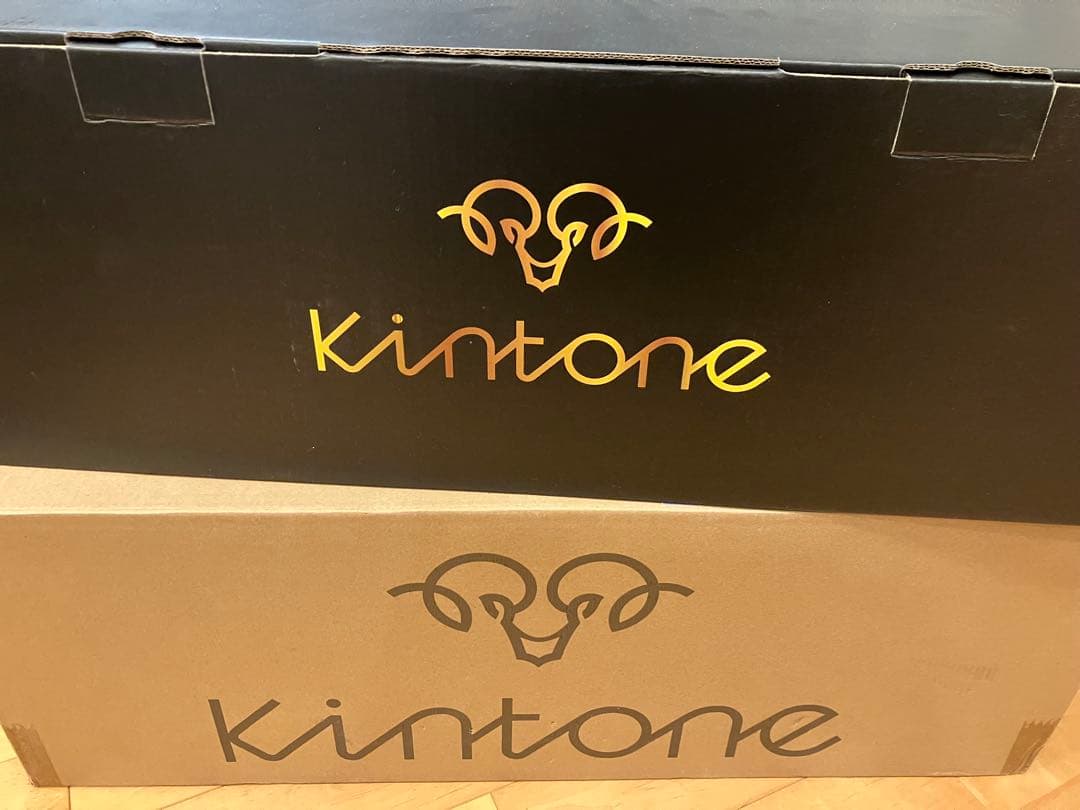 Kintone ミニセグウェイ