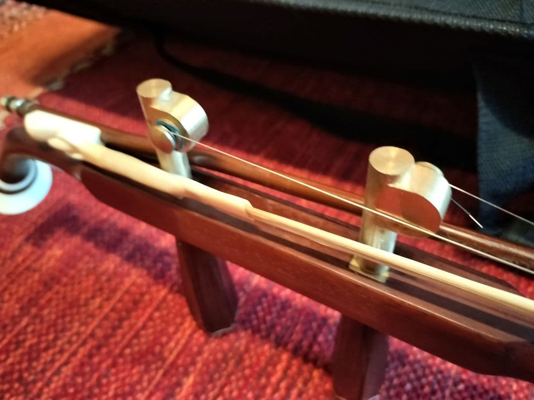 付属品充実！二胡本体と一式 ケース・教本DVD付き