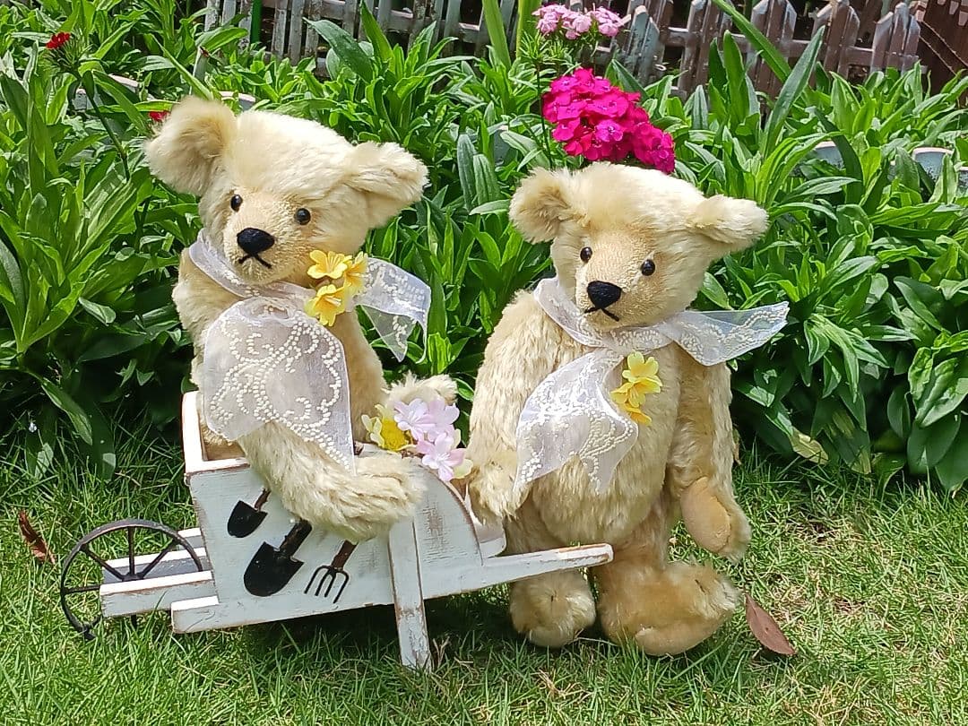 英国ロンドンのAeguithsROSEBUDアスキスローズバッドのビンテージベア