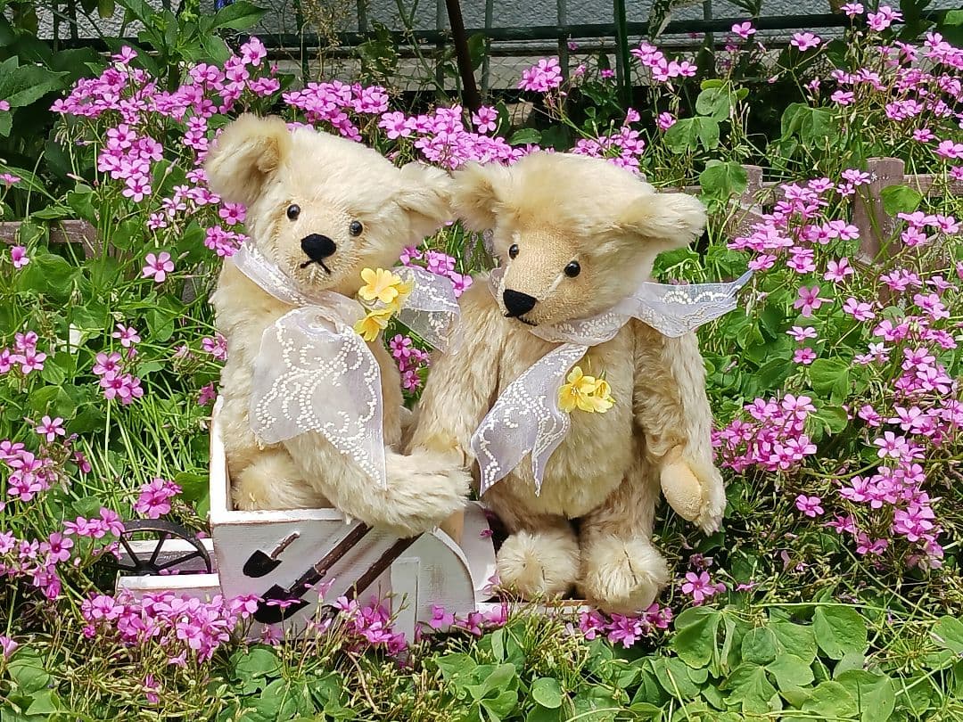 英国ロンドンのAeguithsROSEBUDアスキスローズバッドのビンテージベア