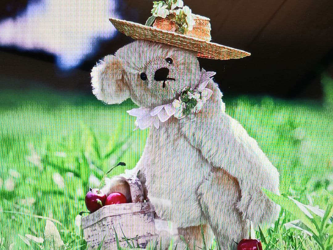 英国ロンドンのAeguithsROSEBUDアスキスローズバッドのビンテージベア