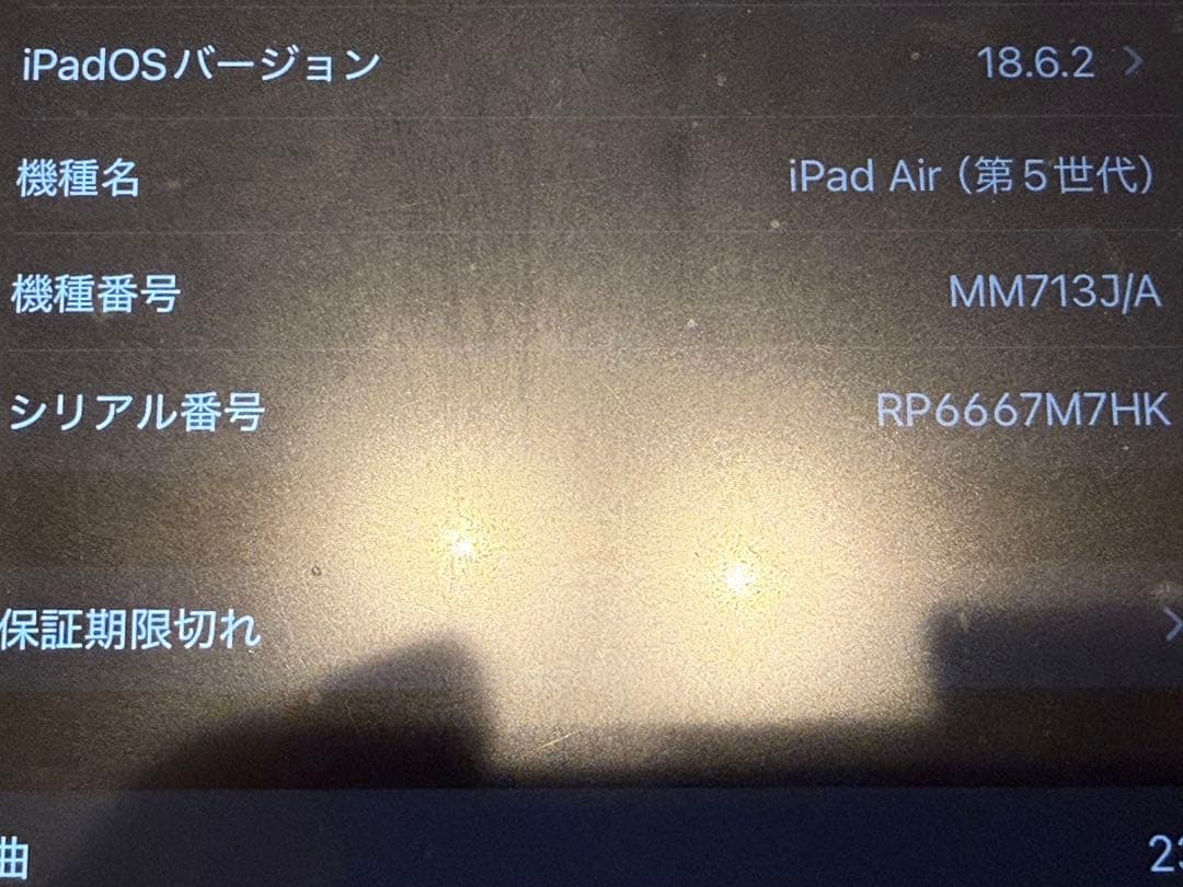iPad Air第5 256GB Wi-Fiセルラー+ Apple Pencil