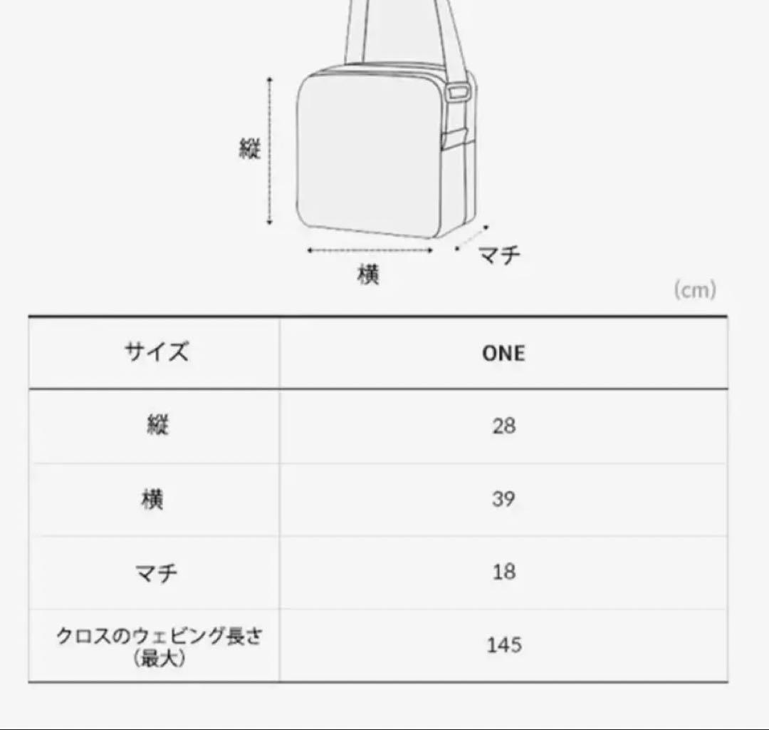 THE NORTH FACE ボストンバッグ サイズONE 早い者勝ち