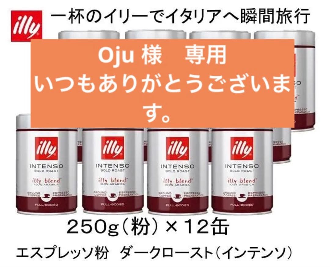 イリーブレンド　エスプレッソ　ダークロースト インテンソ 粉 250g ×12缶