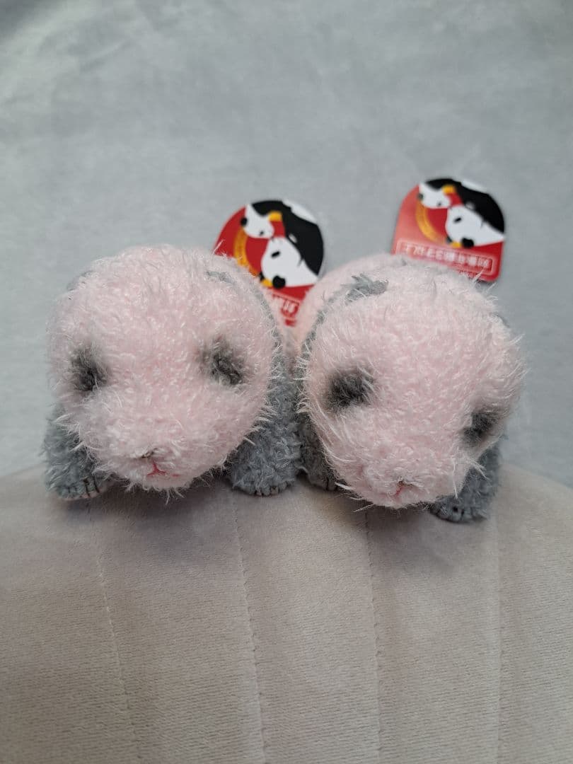 上野動物園 双子パンダ ぬいぐるみ ほんとの大きさパンダの仔 暁暁　蕾蕾