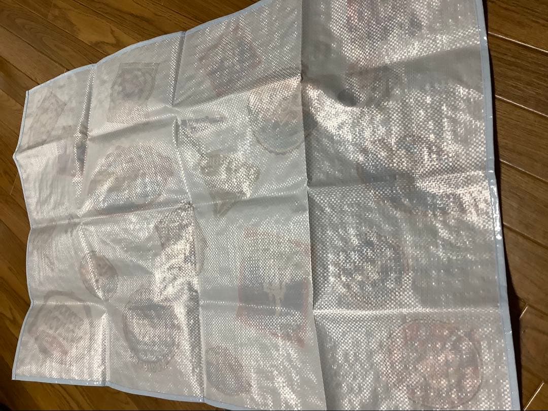 【確認画像】ディズニー　バケパクッション&レジャーシートセット