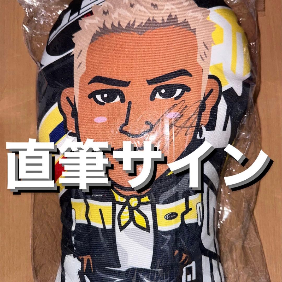 三代目JSB クッション RAISE THE FLAG 直筆 サイン ELLY①