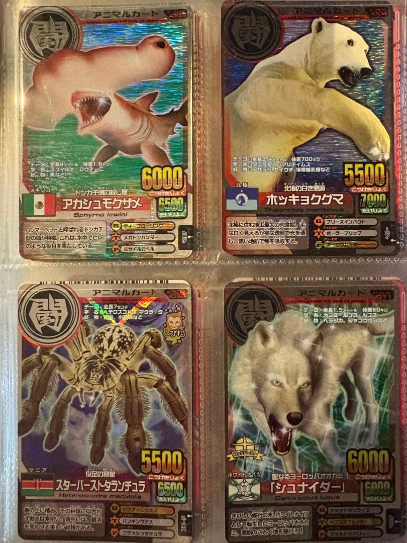 アニマルカイザー　カード　セット　104枚