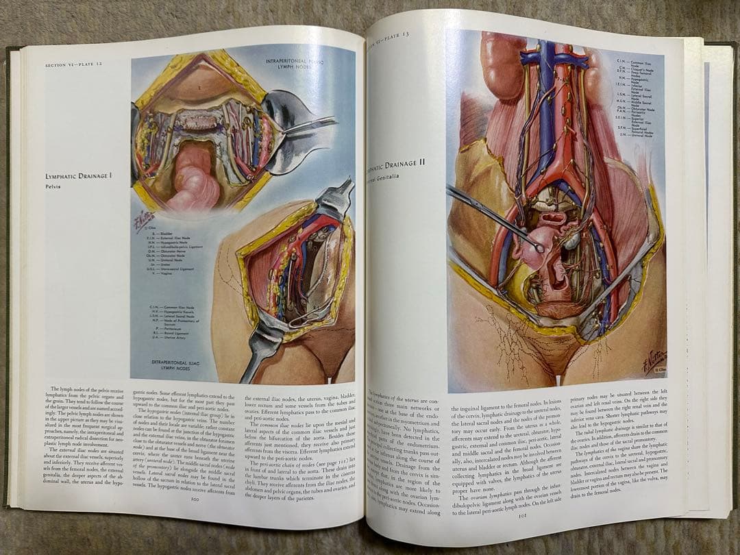 CIBA医学イラスト集 1、2、3(1-2-3)、4、5 /フランクH.ネッター
