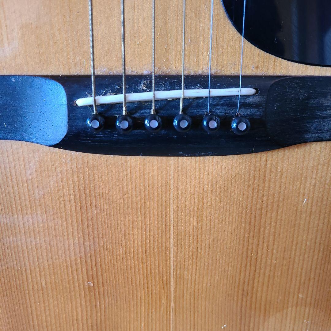 Morris アコースティックギター ドレッドノート