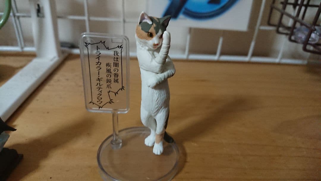 廚二猫