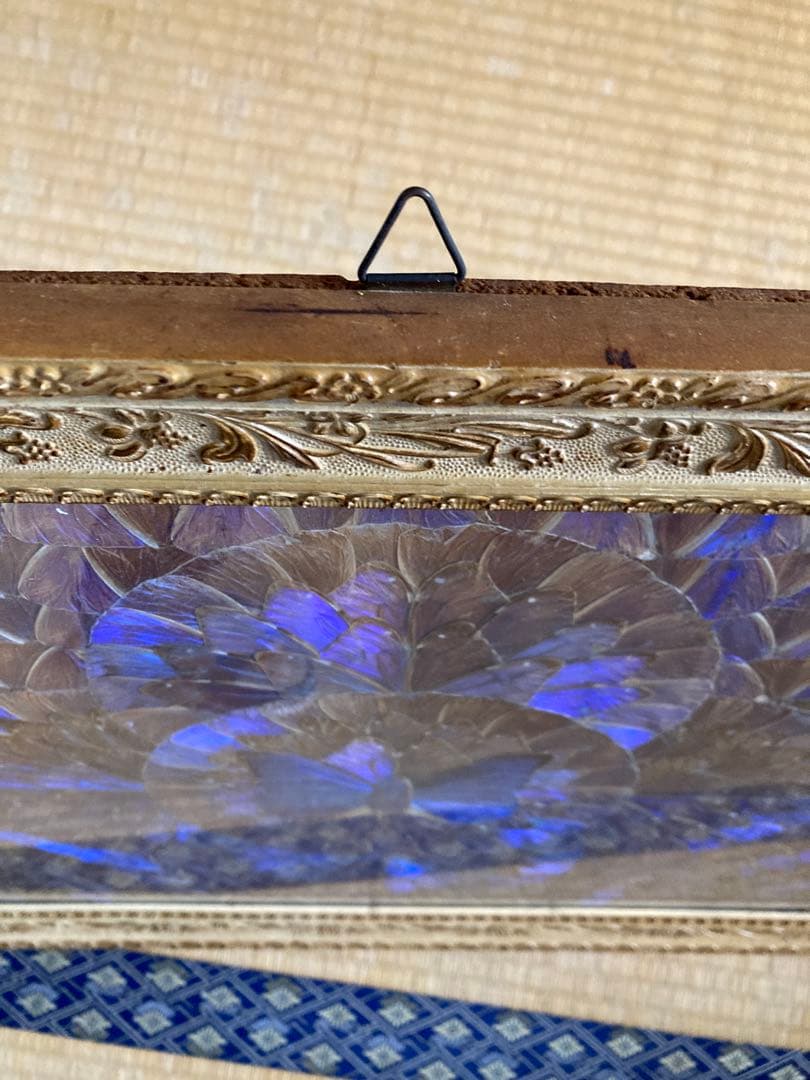 モルフォ蝶　大型額入り美術品　 約49cm✖️69cm