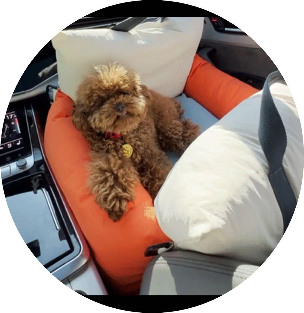 ペットカーシート ペットドライブボックス ペットキャリー犬用カーシートSサイズ赤