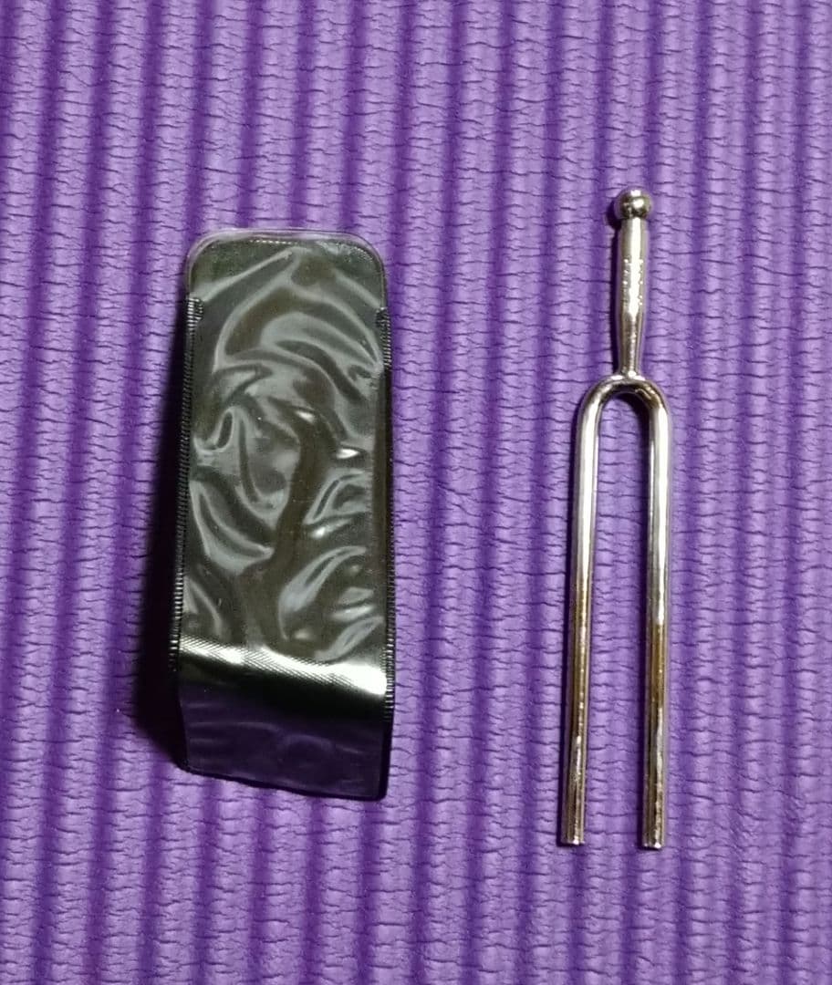 【希少！激渋！】エピフォン ギブソン PR-200 アコースティックギター