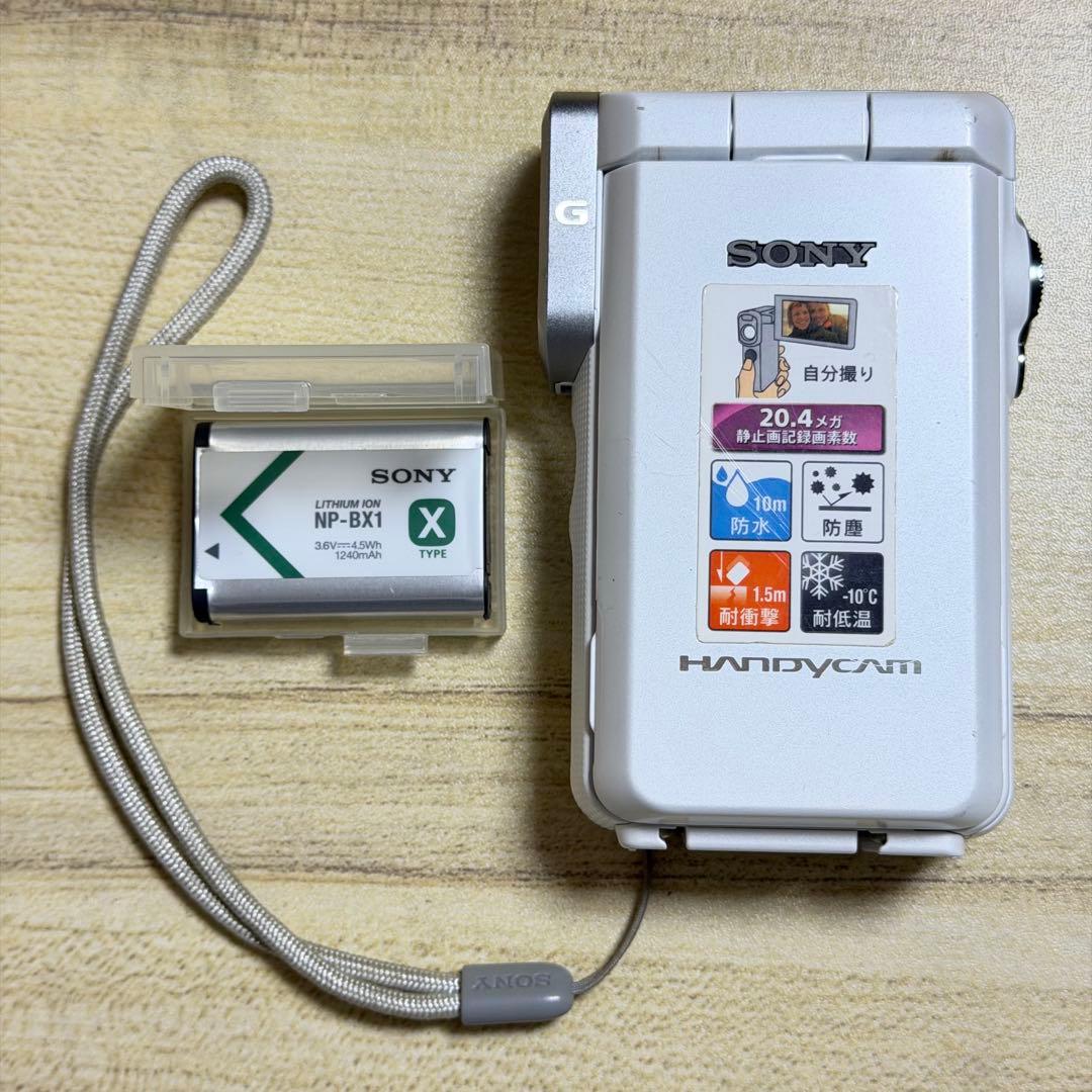 【SONY】ムービービデオカメラ ハンディカム HDR-GW66V 防水防振