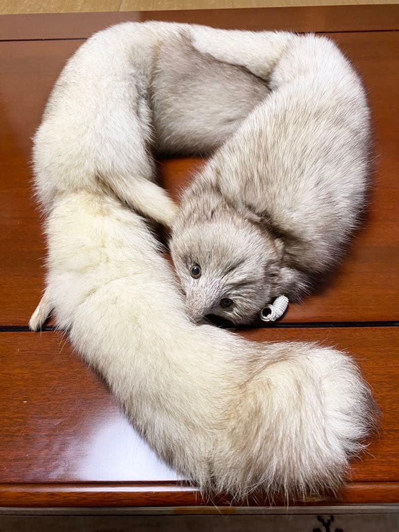 ミンクファー　マフラー　顔、脚、尾付き　リアルファー　襟巻き