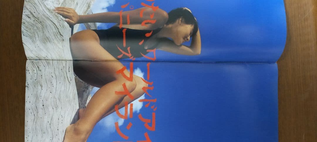 石田ゆり子87jtbパンフレット