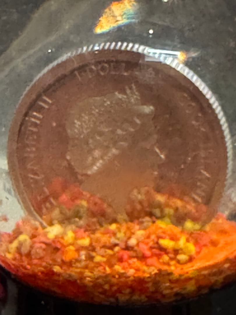 コレクション India Summer Globe Silver Coin