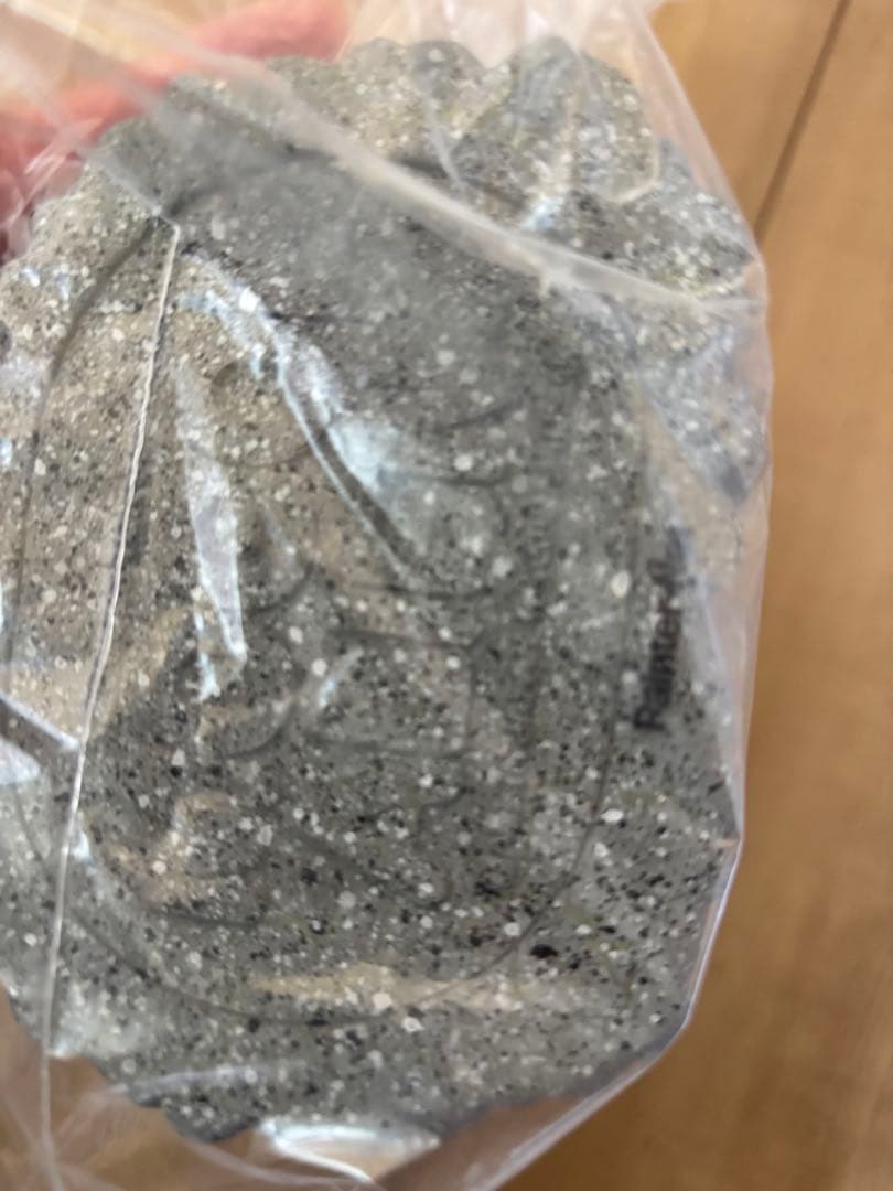 フジサキタクマ モールエイリアン モールミュータント mogol