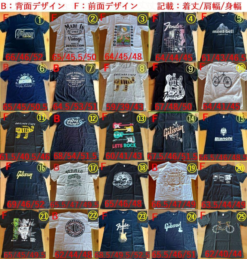 7000円相当 オマケ付 新品 Bacchus TAC24 STD/RSM