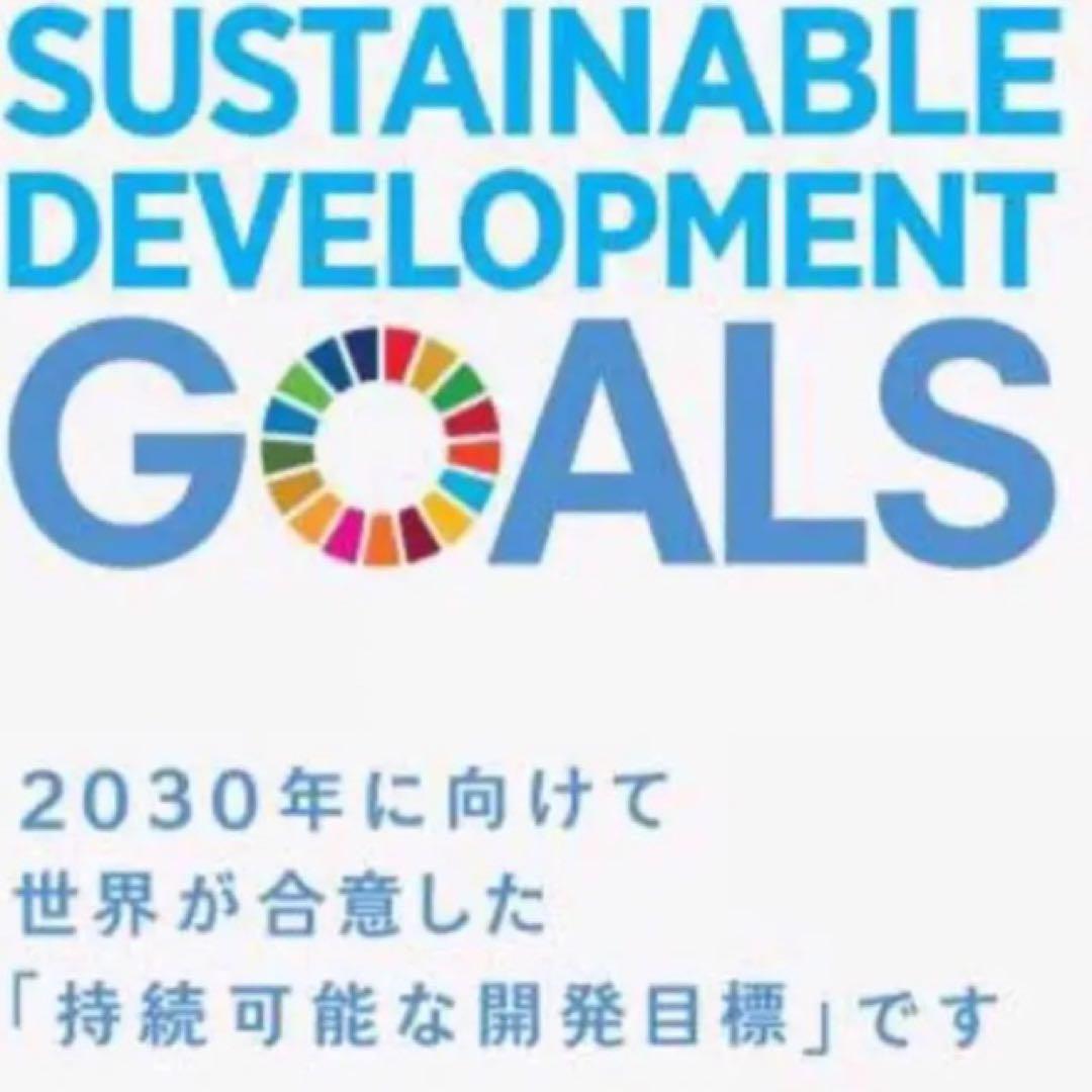 【特別提供品】SDGs  ピンバッジ　10点　新品未使用　【国連本部入手品】