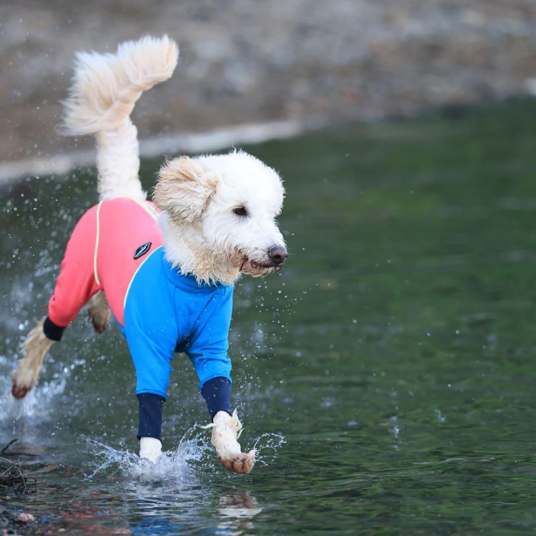 犬服・アクセサリー Alphaicon W.FULL DOG GUARD RETRO SKI ML