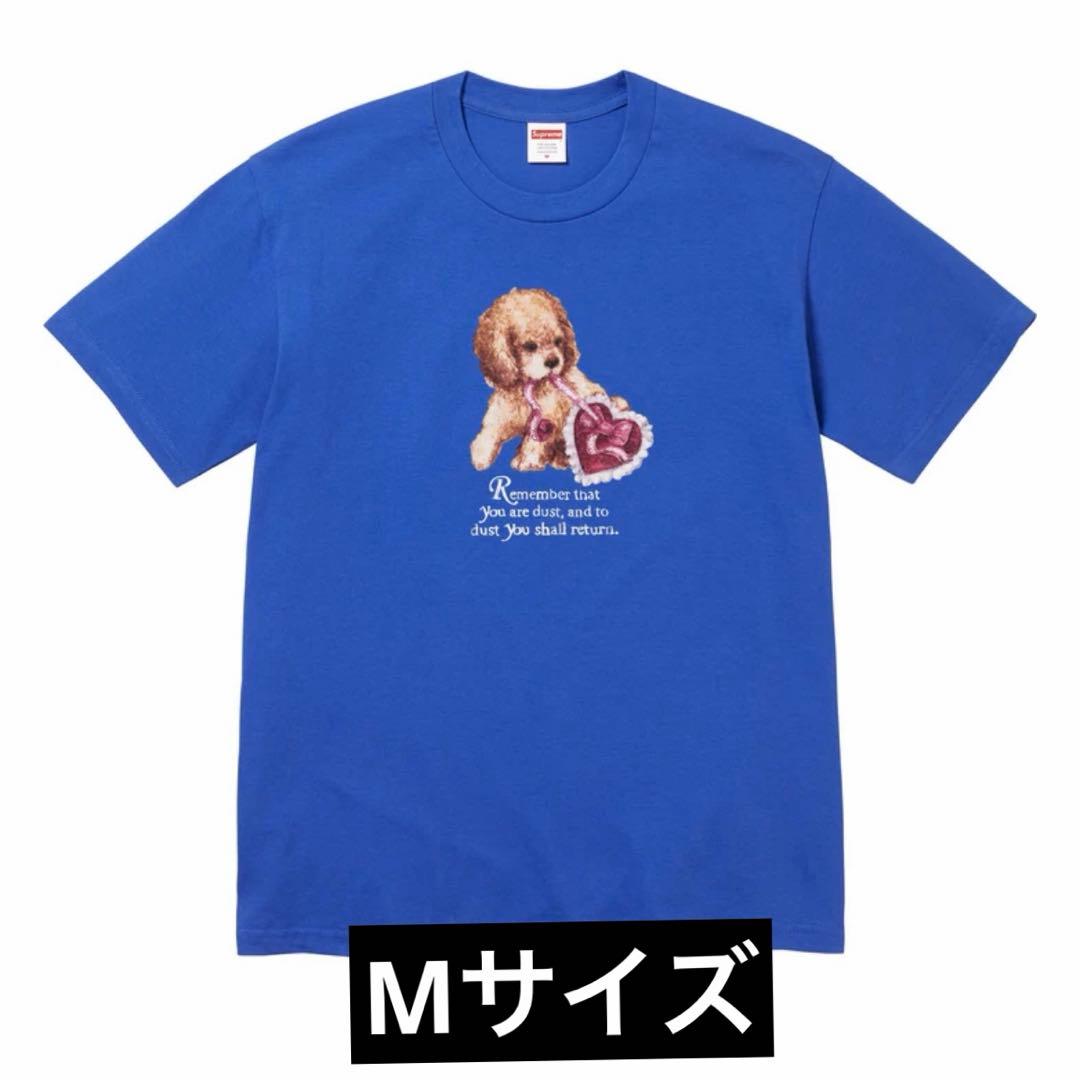 Supreme Dust Tee Mサイズ