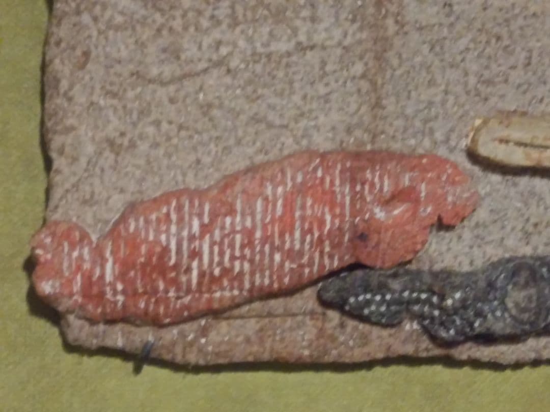 ふくすきさん専用キムホノ 金憲鎬さんの飾り皿