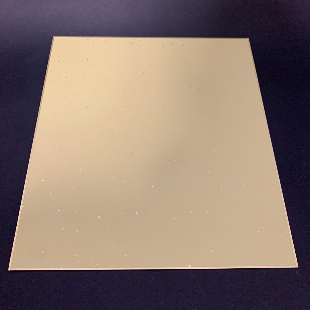 貴重★ドラゴンボール超　色紙　とよたろう直筆サイン入り孫悟空身勝手の極意イラスト