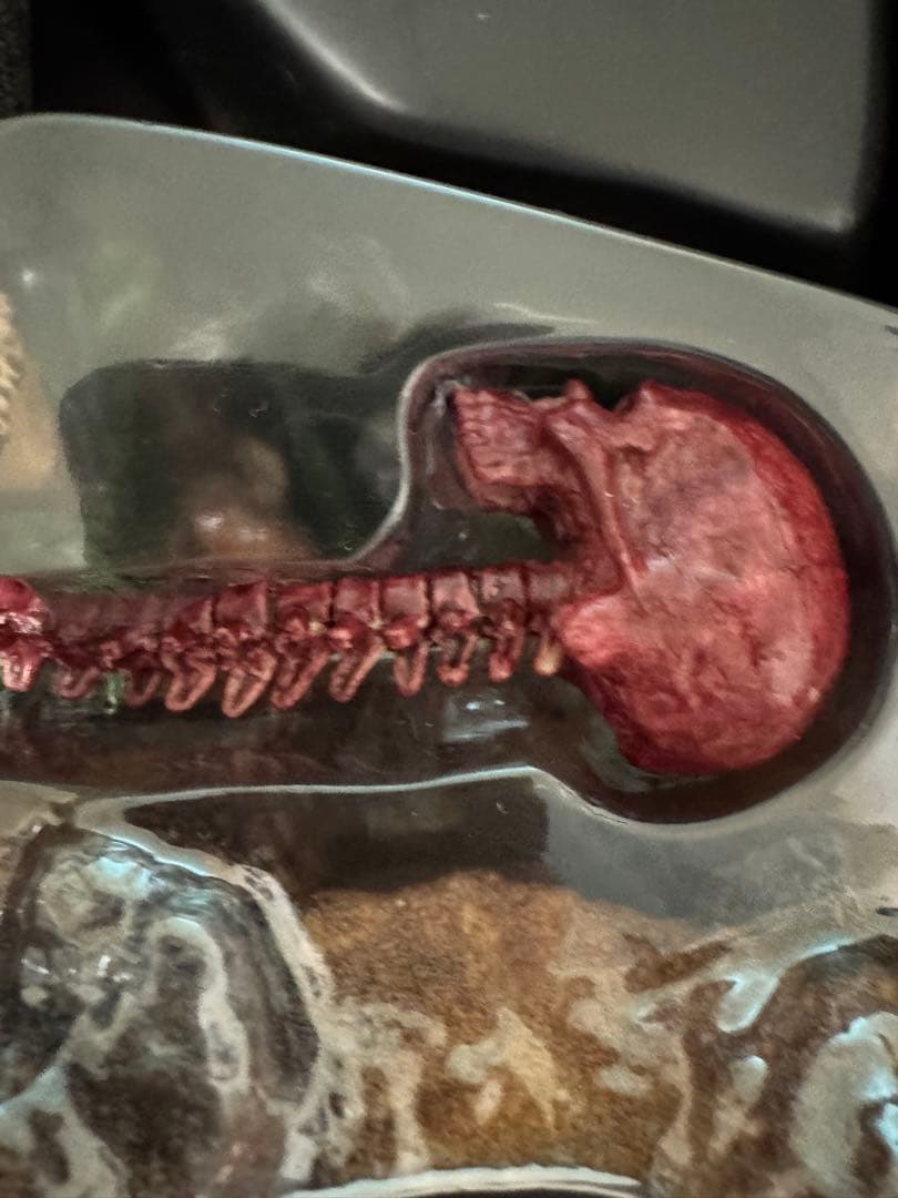 ❗️美品　最安値❗️ホットトイズ　ジャングル　ハンター　プレデター