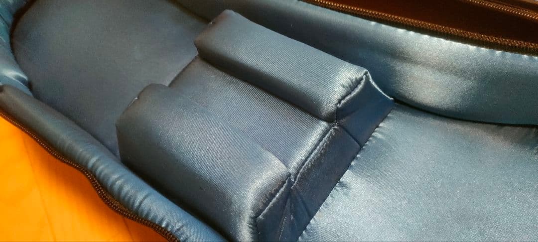 ギター 2本収納用 RBX セミハードケース ギグバッグ