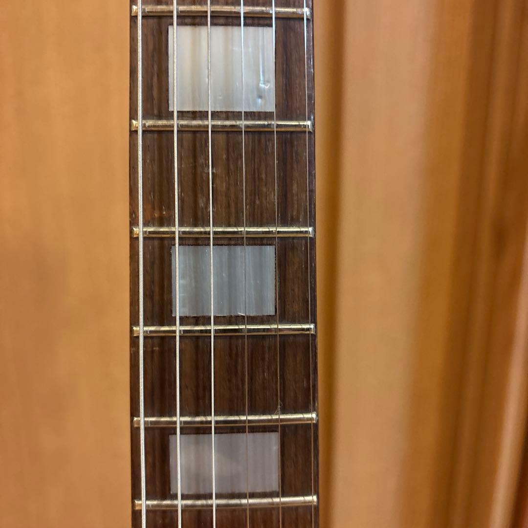 【ゆりさくさん専用】GRASS ROOTS レスポールタイプ