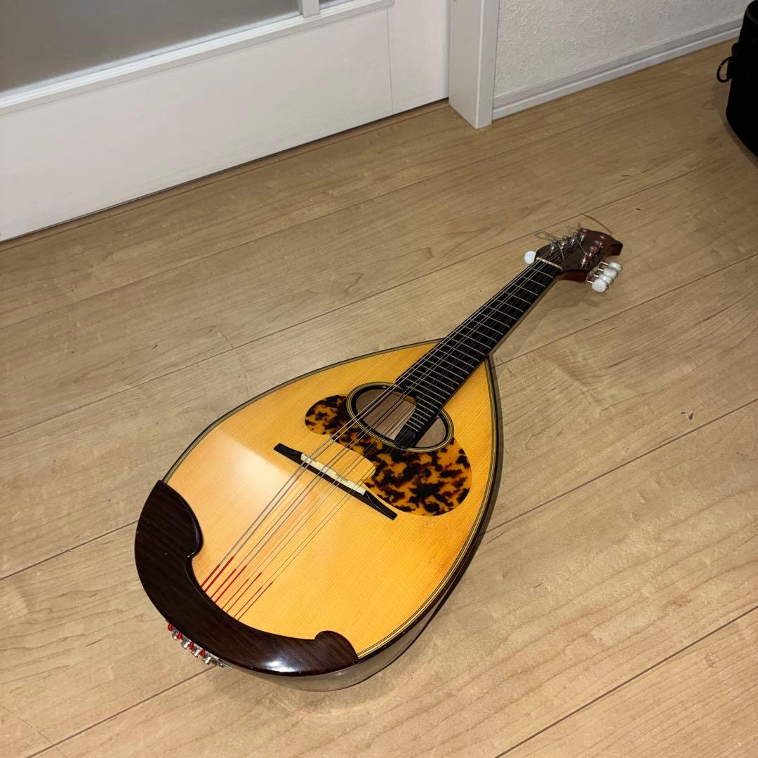 TSUNEO FUJIMARU MODEL ikegaku ANNO マンドリン